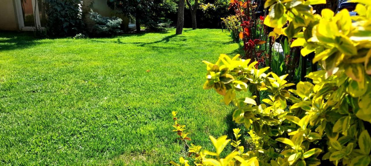 Green Garden Tbilisi Exterior foto